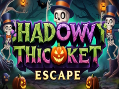 Παιχνίδι Shadowy Thicket Escape