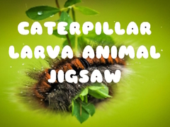 Παιχνίδι Caterpillar Larva Animal Jigsaw