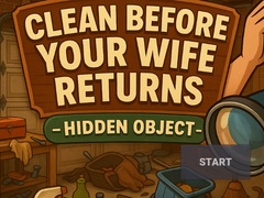 Παιχνίδι Clean Before Your Wife Returns Hidden Object