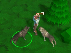 Παιχνίδι Woods of Nevia
