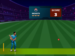 Παιχνίδι Cricket Night 2