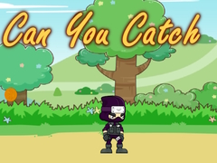 Παιχνίδι Can You Catch