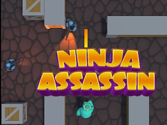 Παιχνίδι Ninja Assassin