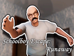Παιχνίδι Schoolboy Escape: Runaway