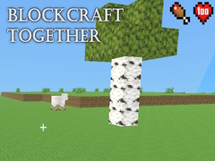 Παιχνίδι BlockCraft Together
