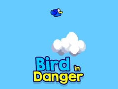 Παιχνίδι Bird in Danger