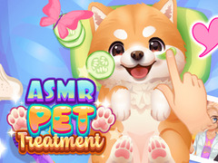 Παιχνίδι ASMR Pet Treatment