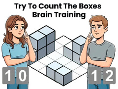 Παιχνίδι Try To Count The Boxes Brain Training