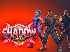 Παιχνίδι Shadow Combat