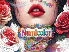 Παιχνίδι Numicolor