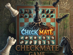 Παιχνίδι Checkmate Game