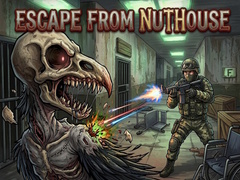 Παιχνίδι Escape from nuthouse 