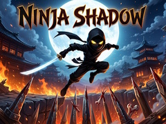 Παιχνίδι Ninja Shadow