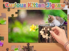 Παιχνίδι Curious Kitten Jigsaw