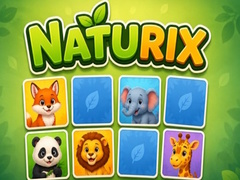 Παιχνίδι Naturix