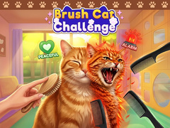 Παιχνίδι Brush Cat Challenge 