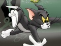 Παιχνίδι Tom And Jerry Chase In Marsh
