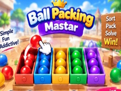Παιχνίδι Packing Master Puzzle
