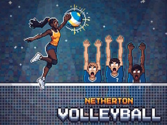 Παιχνίδι Netherton Volleyball