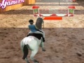 Παιχνίδι Horse Jumping 3D