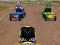Παιχνίδι Lawnmower Racing 3D