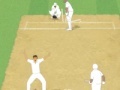 Παιχνίδι Cricket Umpire Decision
